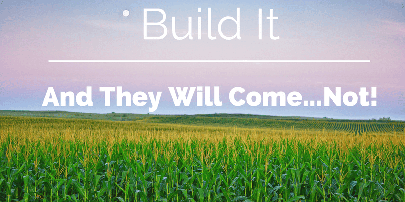 Build It and Will They Come? 