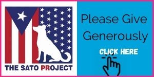 The Sato Project - Please Give Generously